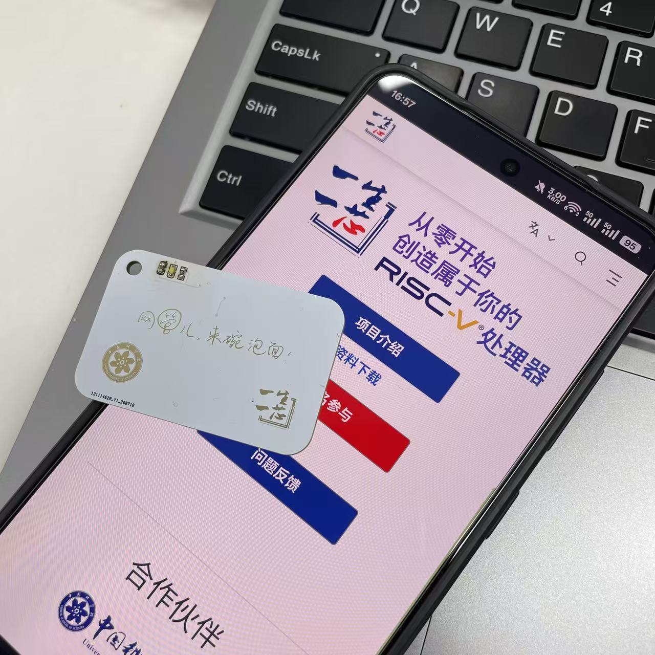 展示效果