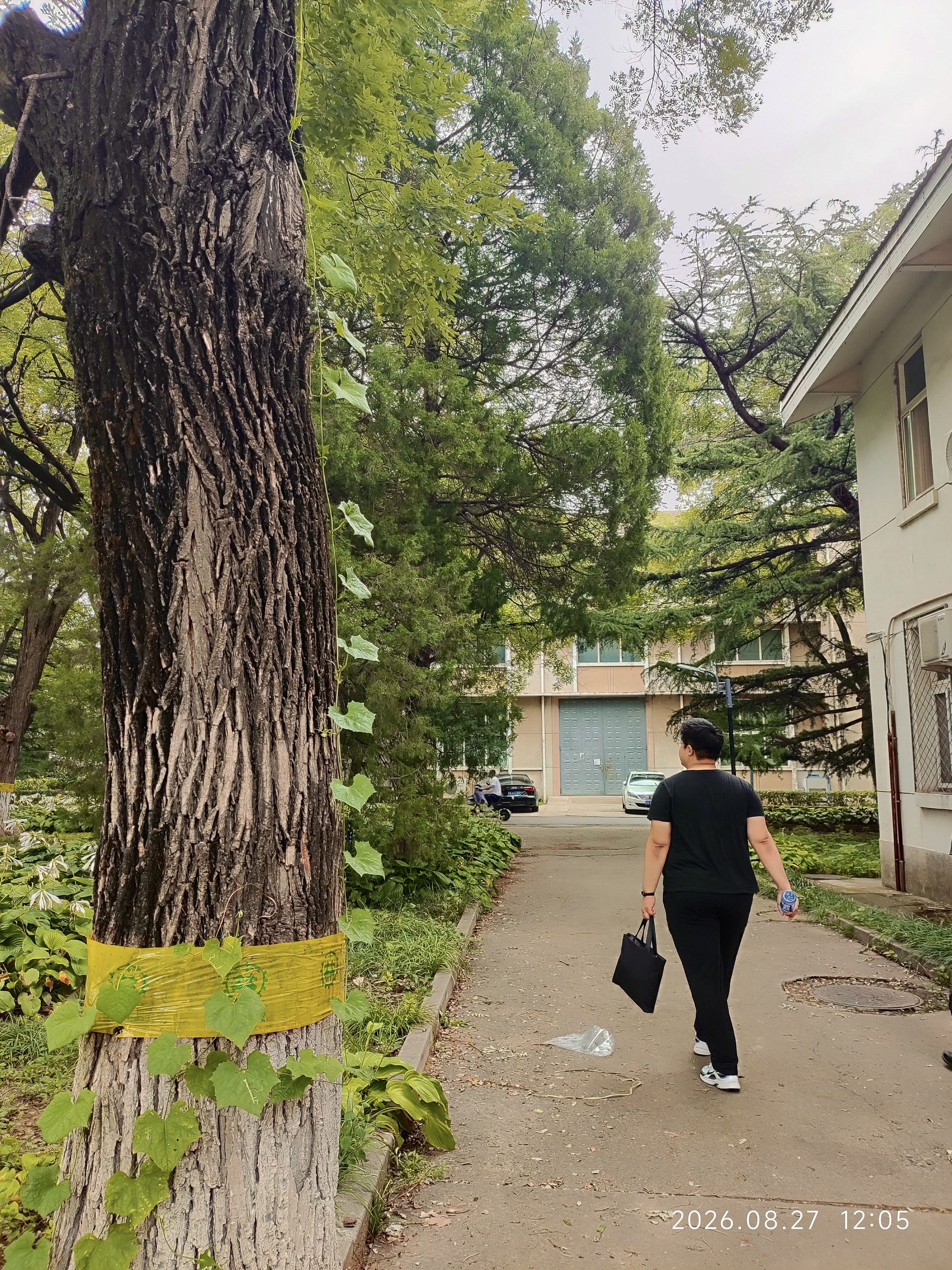 漫步校园中，我姥拍的太好了